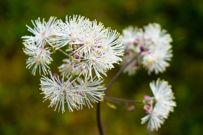 155648C9-7D2A-4B7D-AB70-CD3D57F06C4E