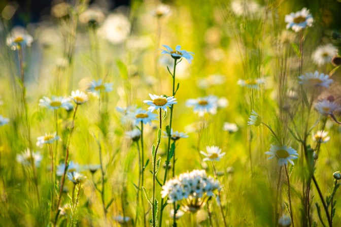 1B892F97-20DF-41A6-934F-868F6A42AB06