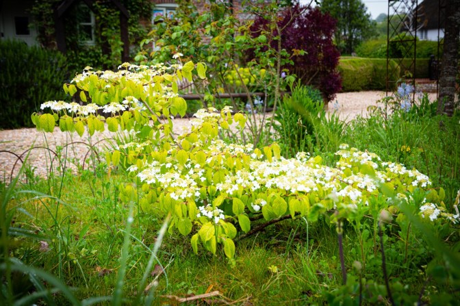 1D93D32C-FBC8-44AE-A50C-0C5C823F6CAC