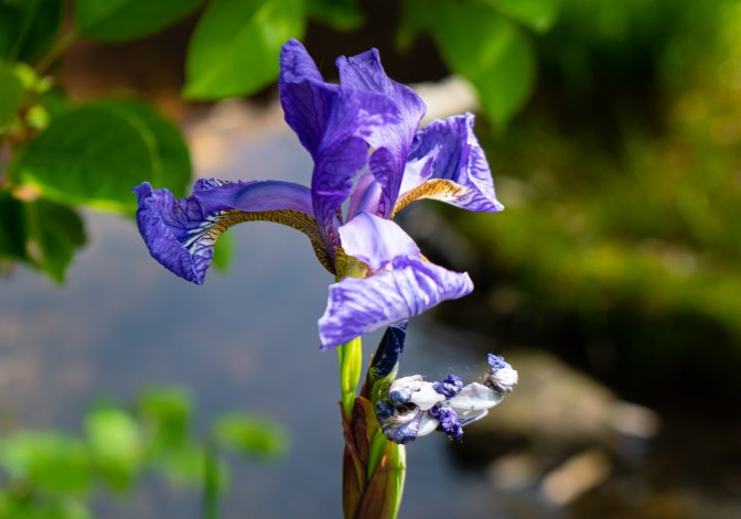 1F7EE2F5-309C-4A80-A344-ADA4BC9DB454