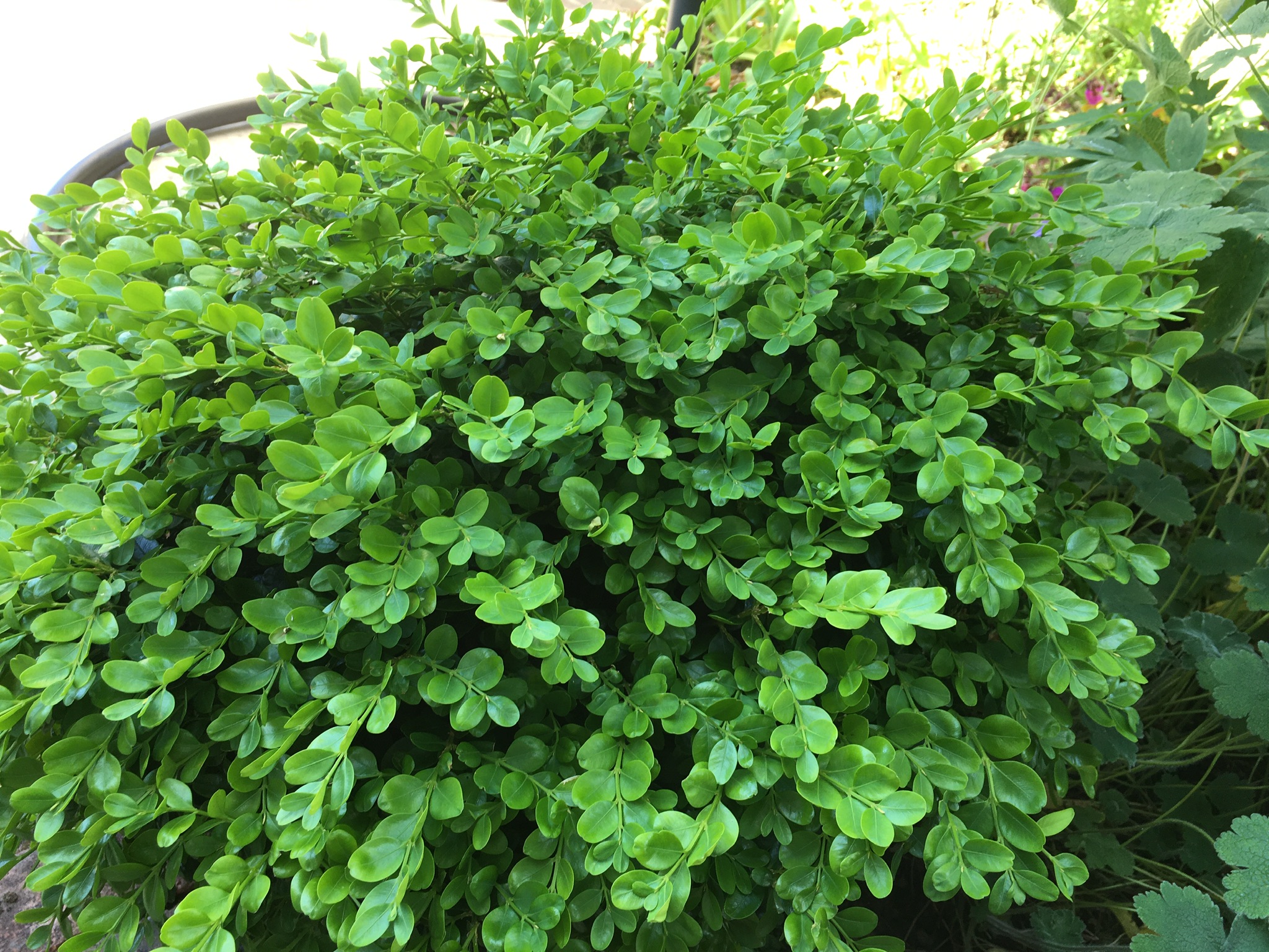 30C918FC-426E-4A91-90C7-5A16271F372D