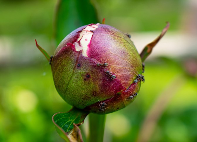 38040009-44AC-4F45-A441-1B0E94530C72