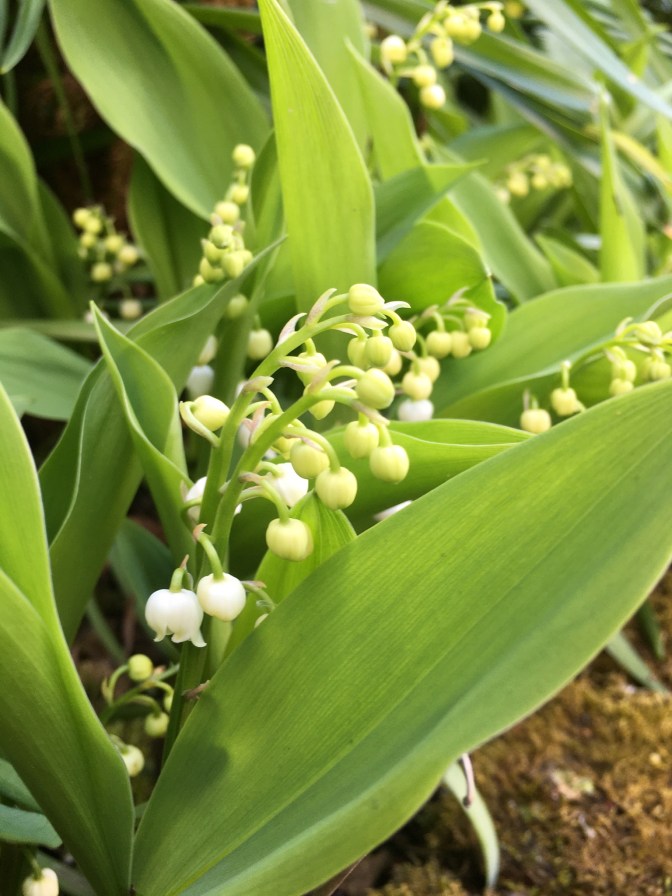 3B6C3077-E541-4933-BF9E-CFC95851E2B5