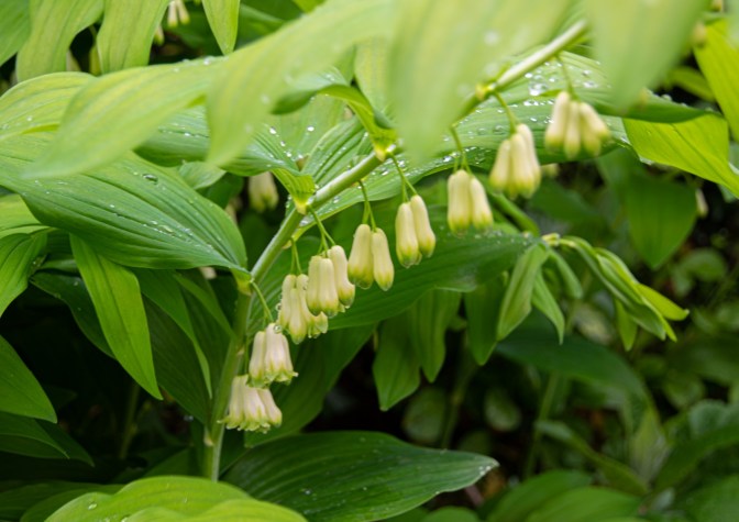 3F67FD76-C93B-49D0-80D8-CC01B7C30489