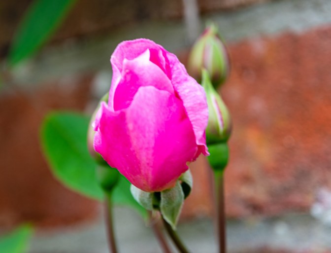 3F7C15A8-DD34-4262-B7DC-DEE853D9404E