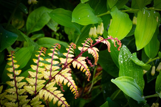 42FDAAC0-7A65-4651-83A2-3DE583ECCAB5