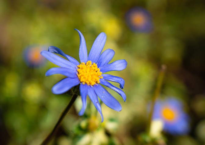 468418F6-A0CA-4B40-AA24-3D1C836F2544