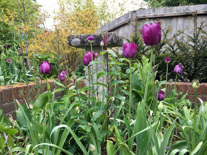 46E8C1D1-78AE-4D08-B2EB-1C50574B7C4B