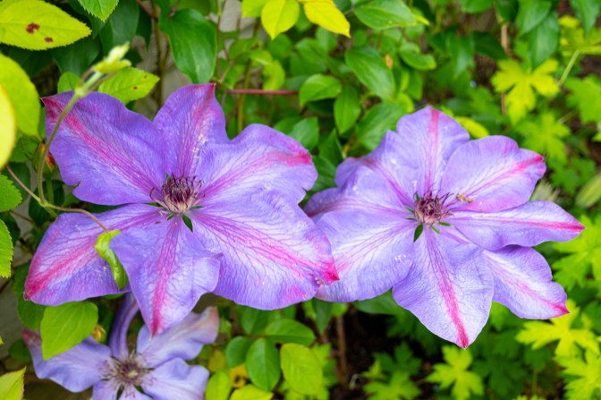 47826D55-45CF-431D-B634-4B15D0DEA3AF