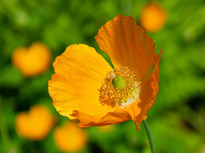 571D5FC1-9626-4E34-A79B-8CDB40416A2C