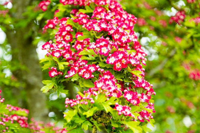 5F64FD6B-CC90-4990-B4DA-5443E66287A7