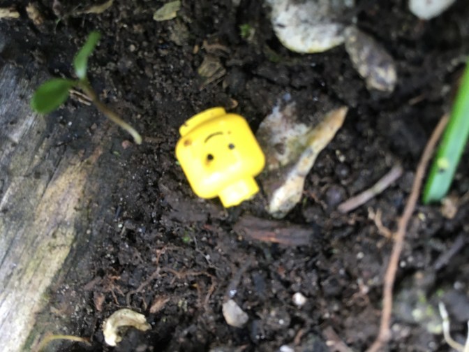 60B6349F-5862-47B8-AC87-6D0665A073F9