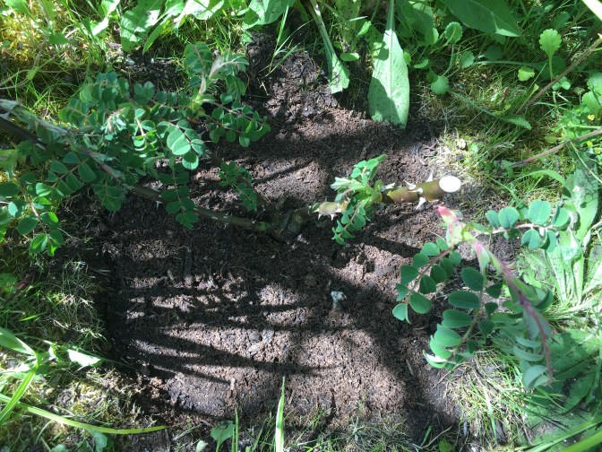 620B3F48-CC58-445C-9559-24259B0B2DDC