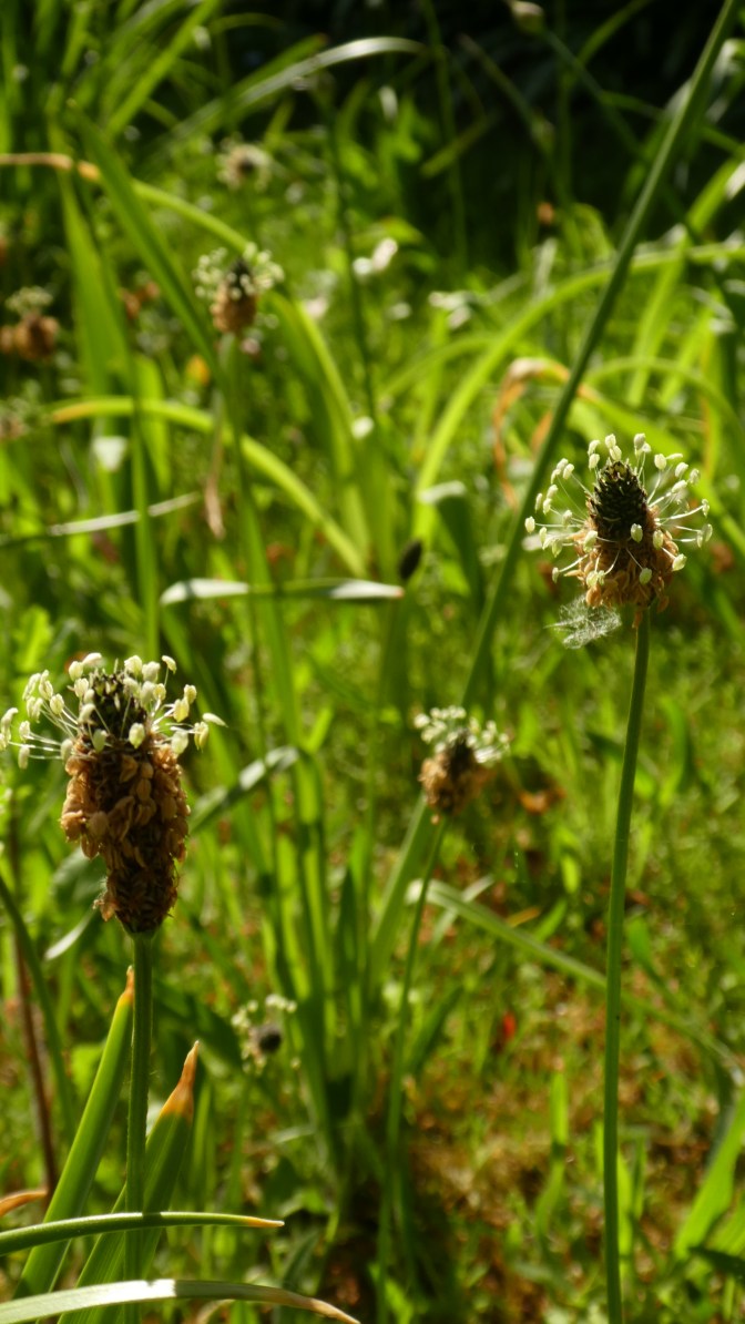 629B9B79-85EC-40AF-B801-2C71473C6FE6