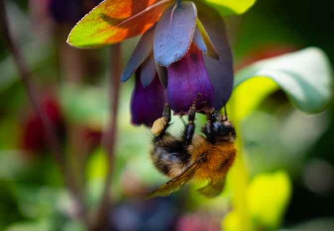 673F3CB0-F9EB-485E-AA91-257789F30C43