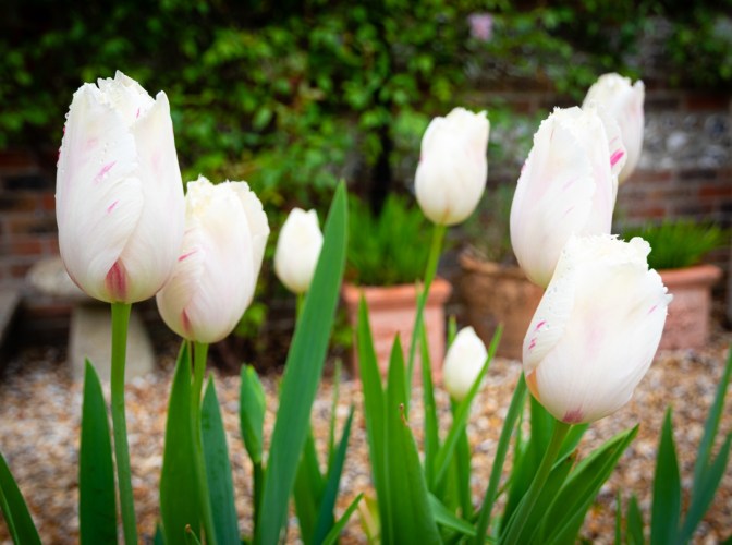 7033AA0C-0789-4C63-A0F6-3F6892EB5A10