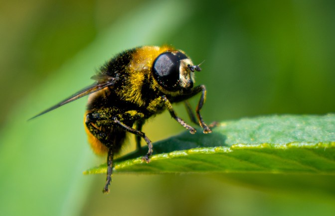 7423D117-3A16-401D-AA9F-9DD1AE9F7153