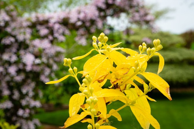 76065104-95C3-4A5A-A6D3-807288F4FF41