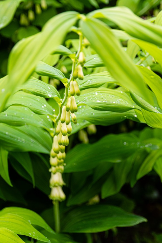 7D039223-15D3-4BDD-B3D1-FD98257DCE9C