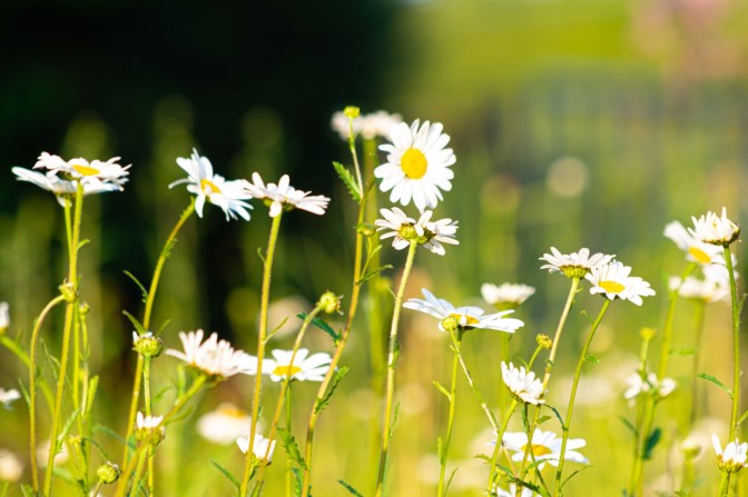 7FDF433E-0632-422F-A106-E19429276ADE