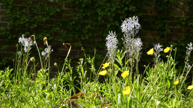 871E1306-1BF7-4A9E-94FE-5509BC750272