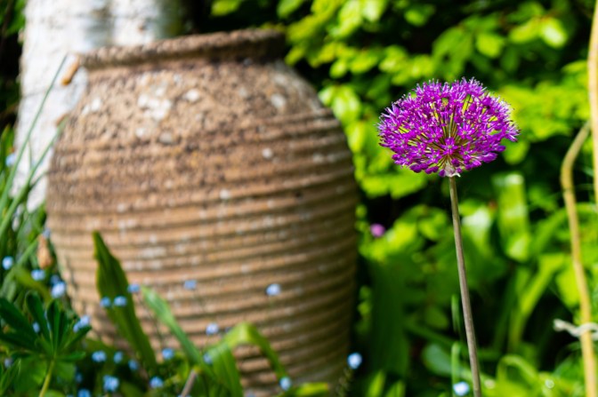 8A2FC963-B2E8-4EF0-8902-87547814C0DD