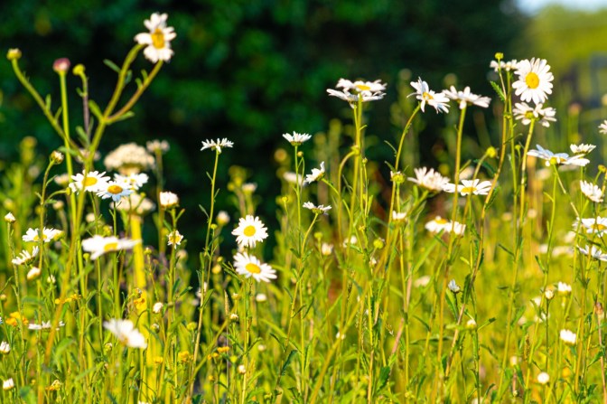 8D95A93D-7EF1-476A-87CF-D4B0C5EC0B60