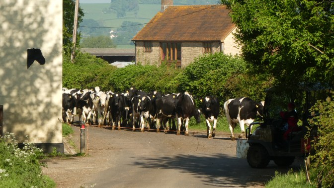 97421AF6-04F7-443A-B5B9-BB3F3FF38016