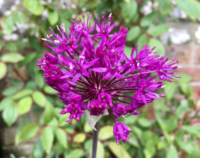 9D04FB00-EF13-449B-B320-D1FAEE4158CA