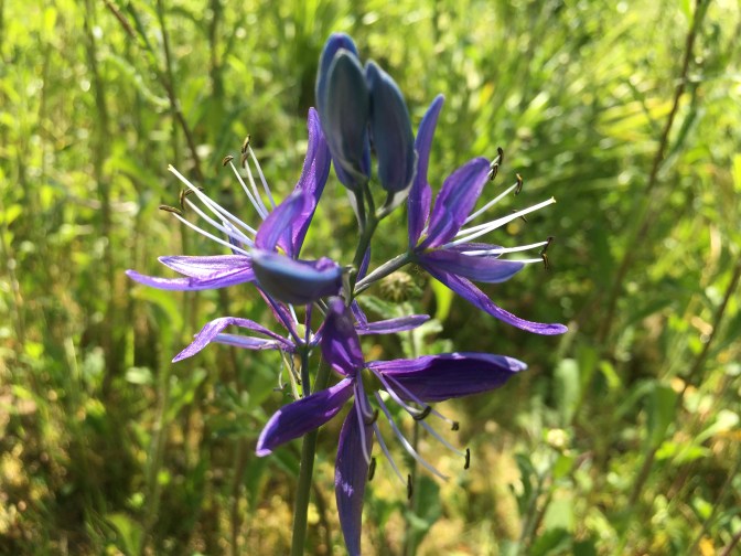 9EFB1850-E78F-4113-910E-AC2486BDED1D