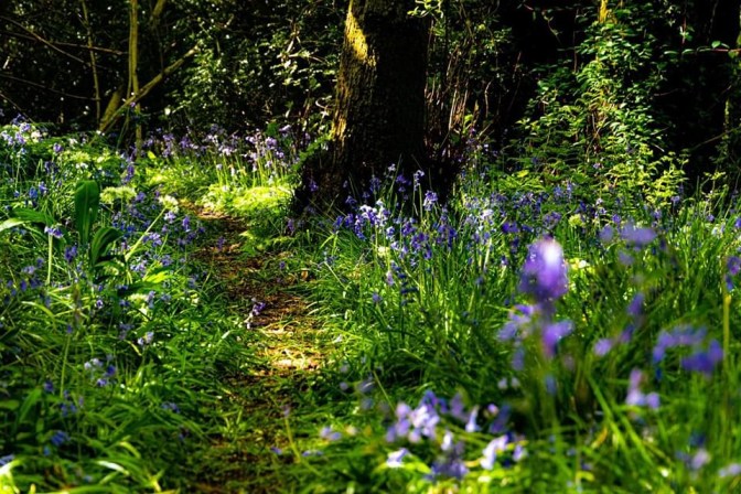 A23986E7-6A5C-4925-B2E0-518BBBE682DE