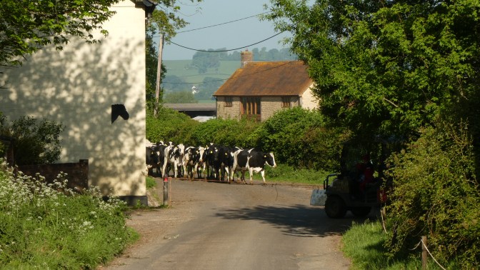 A4309077-E924-476A-A7D4-EE9A654D8548