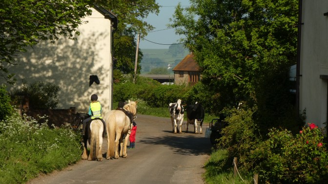 A98C27C6-5C70-435B-BC23-2A865A0F28F6