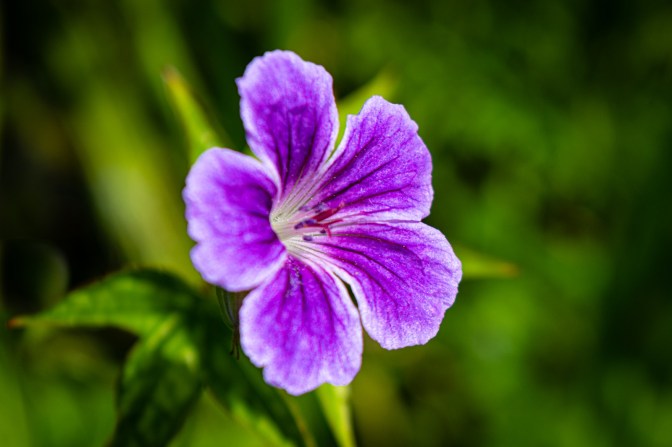 AC8FDA73-B252-467F-9E2F-20B93D7933A0