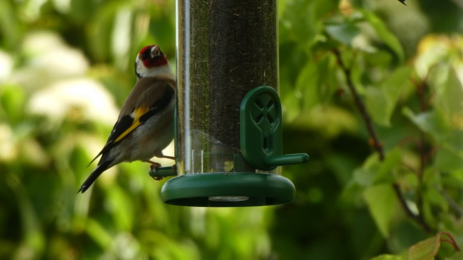 B57532E7-88D4-4CFF-A4A3-C4AEA58A4DCA