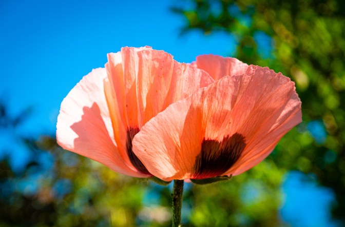 BB01FAA3-071B-4BE1-977B-A8DF324A5FC8