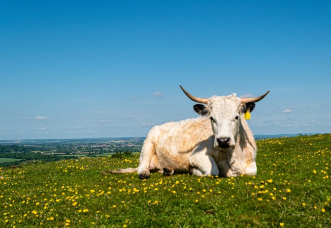 BFFA1BDA-283E-4A95-B3F4-DC9052A72EA2