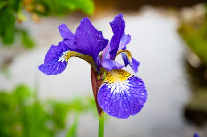 C01CFA45-316E-479B-A300-4E2C4B010587