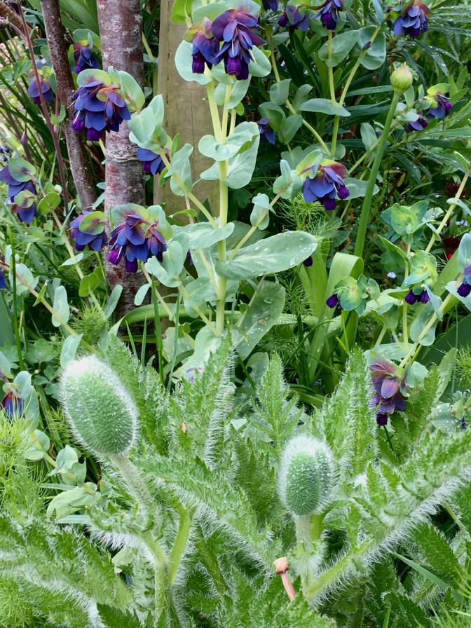 C1930B0C-CFE0-44FD-88F2-5784B9740838