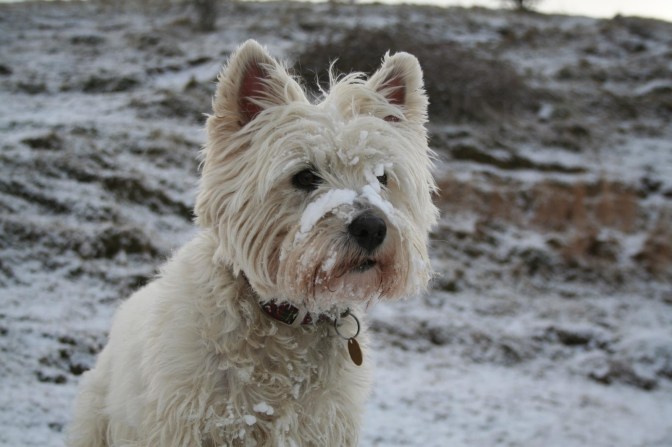 CE199151-51D4-4643-8610-DC0EE177E68C