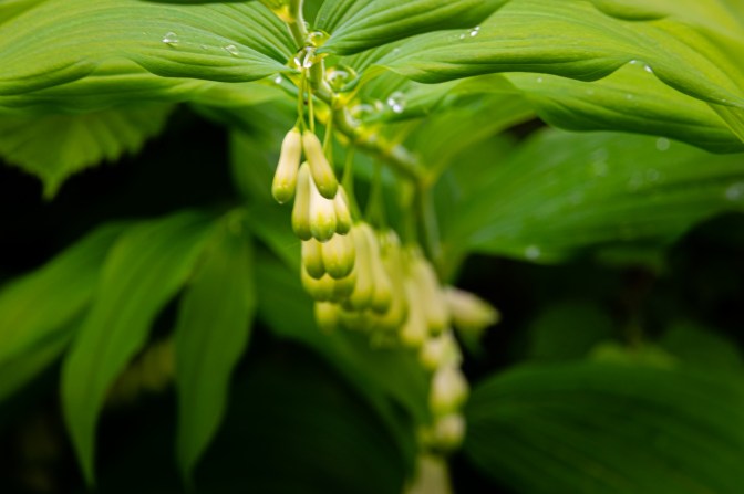 D2FE046A-1354-49E9-89F3-D5392F970EFF