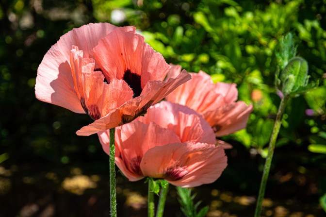 D3084A85-EBE3-4C4C-89FF-6ED0F16717C3