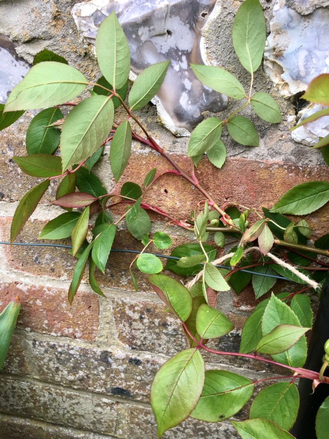 D5D28D84-8E6F-48DF-AEE3-8337612AE7B9