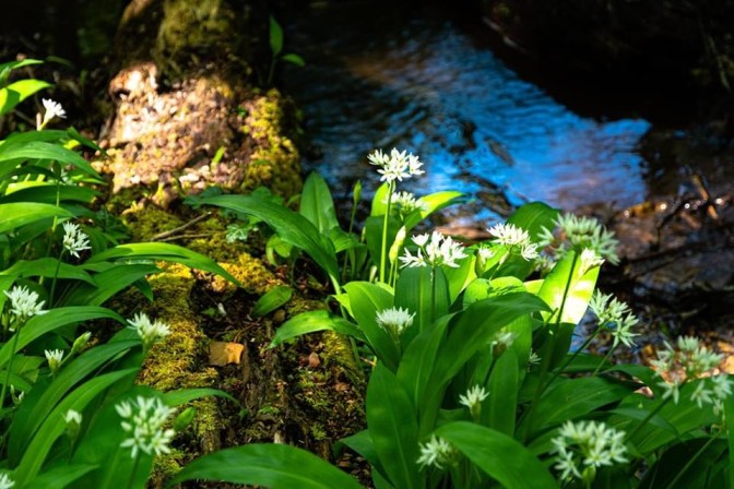 DCDB00D9-2380-42A7-AD88-DDAA46ABA5E7