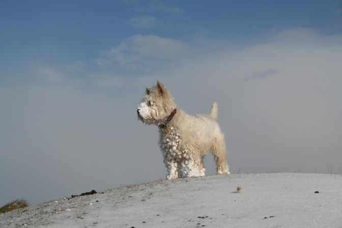 DE8EC57D-C5CA-400E-AF0B-5D3316651DA8