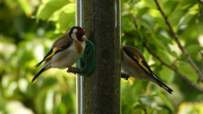 DF765938-3DB2-4050-816C-0DA6EC7239FB