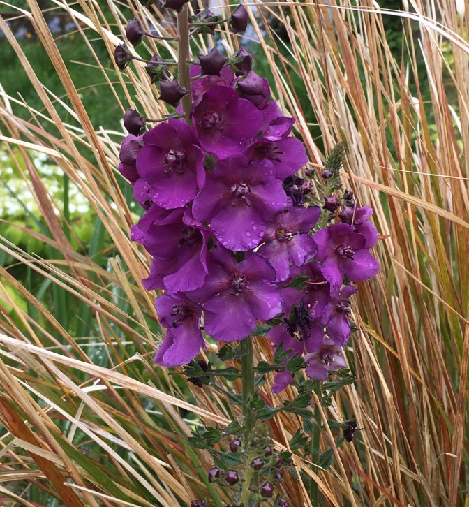 E6E8D561-9007-4897-99A8-575815039C82