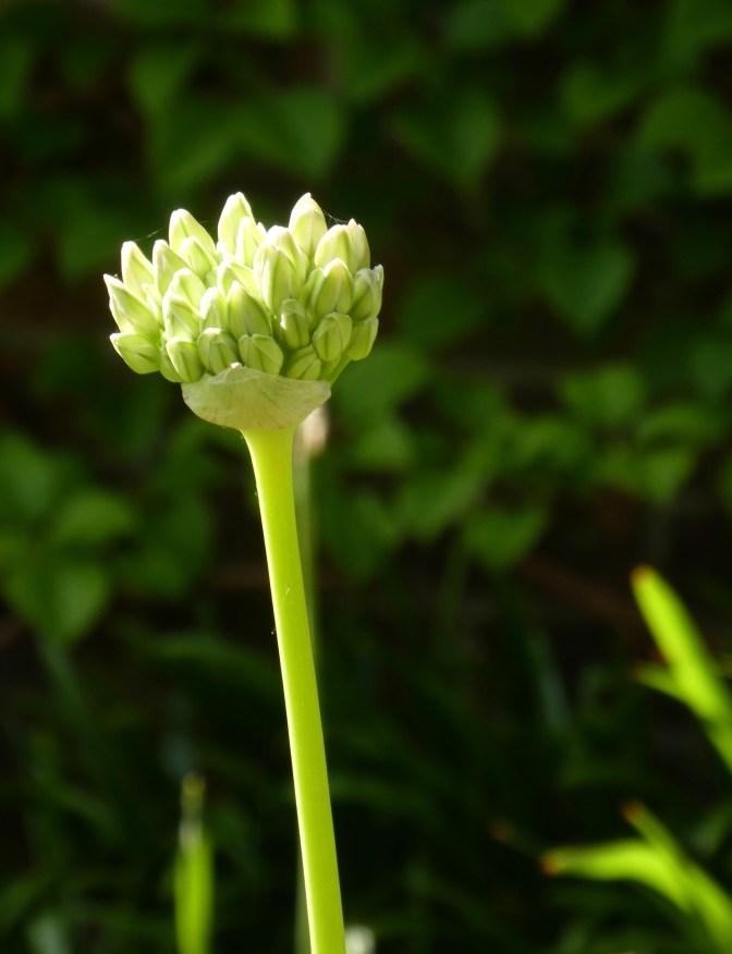 E7BC6C09-310E-4B5B-866A-113C6C03CE1E