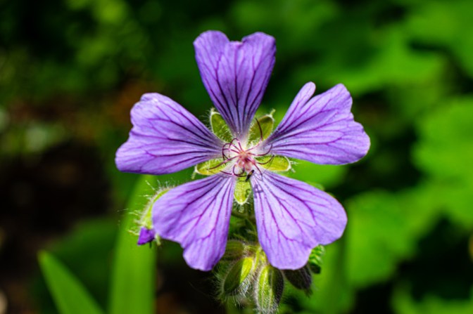 F07DC404-07CE-46AD-BB6D-1520ED8ABACE