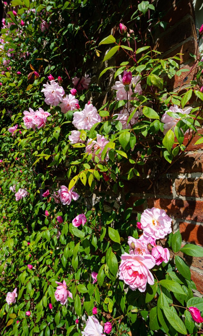 F10CB5FC-88C9-4D73-964D-A36B2731A207